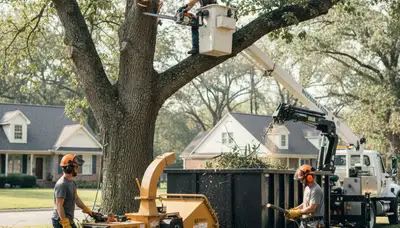 Emergency tree removal service in Oklahoma City, OK handling storm-damaged trees