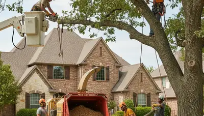Professional tree service crew in Oklahoma City, OK trimming and removing trees with equipment