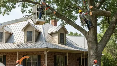 Tree service crew in Oklahoma City, OK providing professional tree care and removal services