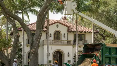 Tree service crew in Oklahoma City, OK providing professional tree trimming and removal services