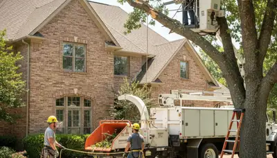 Tree service crew in Oklahoma City, OK providing professional tree care and removal services