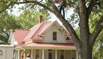 Tree service crew in Oklahoma City, OK providing professional tree care and removal services