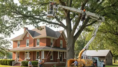 Tree service crew in Oklahoma City, OK providing professional tree trimming and removal services