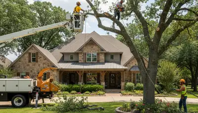 Tree service team in Oklahoma City, OK providing professional tree care and removal services