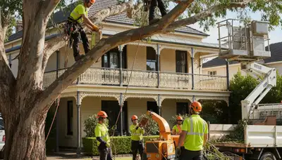 Tree service crew trimming trees in Oklahoma City, OK for safe, professional property care